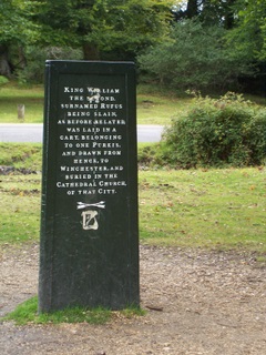 New Forest Rufus Stone other side