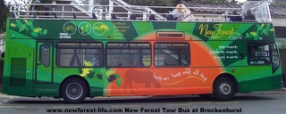 the new forest tour bus