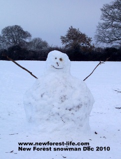 New Forest snow man