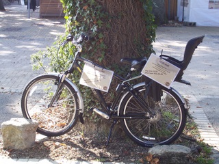 Sandy Balls Childs Bike for Hire