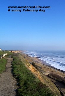 New Forest Milford on Sea path