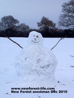 New Forest snow man